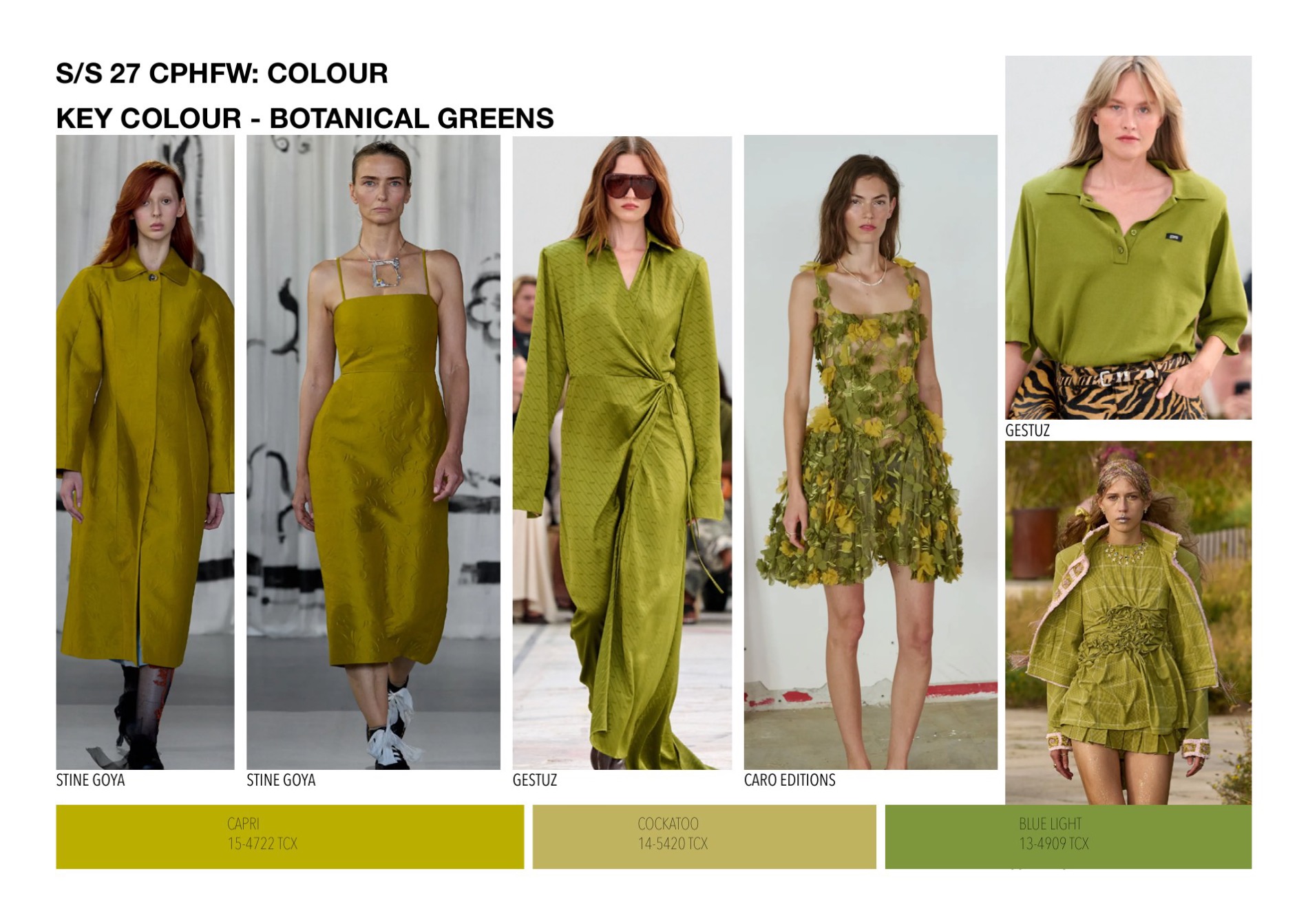 Key colour — botanical greens, with Pantone references